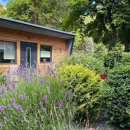 Das Ferienhaus Am Tiergarten Wernigerode Zewnętrze zdjęcie