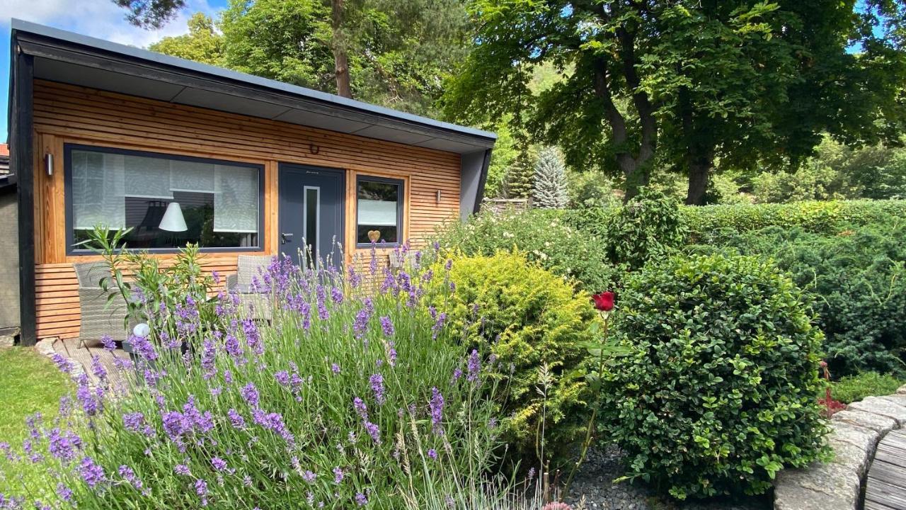 Das Ferienhaus Am Tiergarten Wernigerode Zewnętrze zdjęcie
