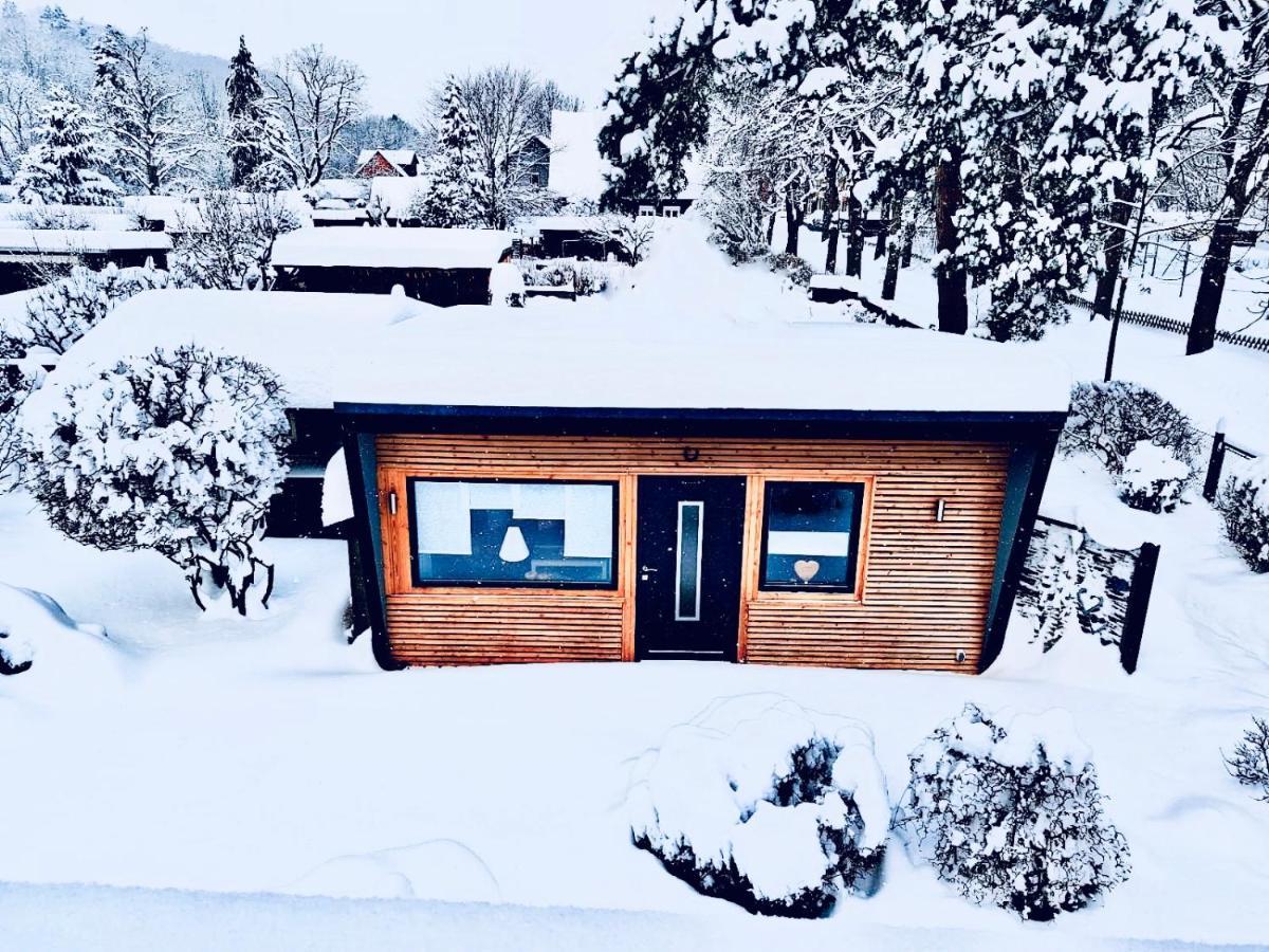 Das Ferienhaus Am Tiergarten Wernigerode Zewnętrze zdjęcie
